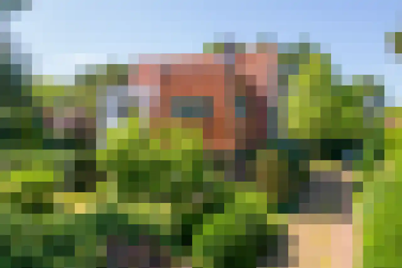 Huismansweg 13 Schoorl thumbnail 5