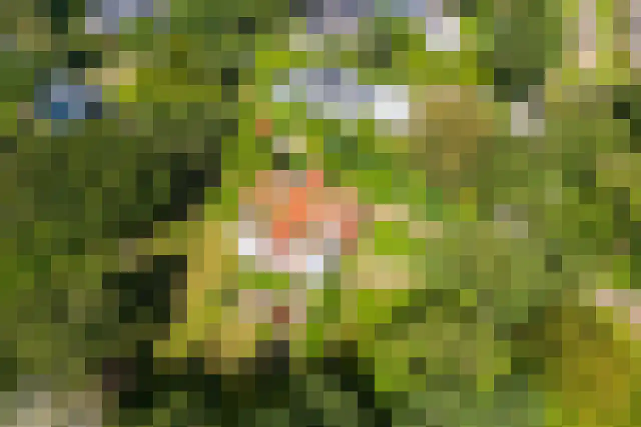 Huismansweg 13 Schoorl thumbnail 77