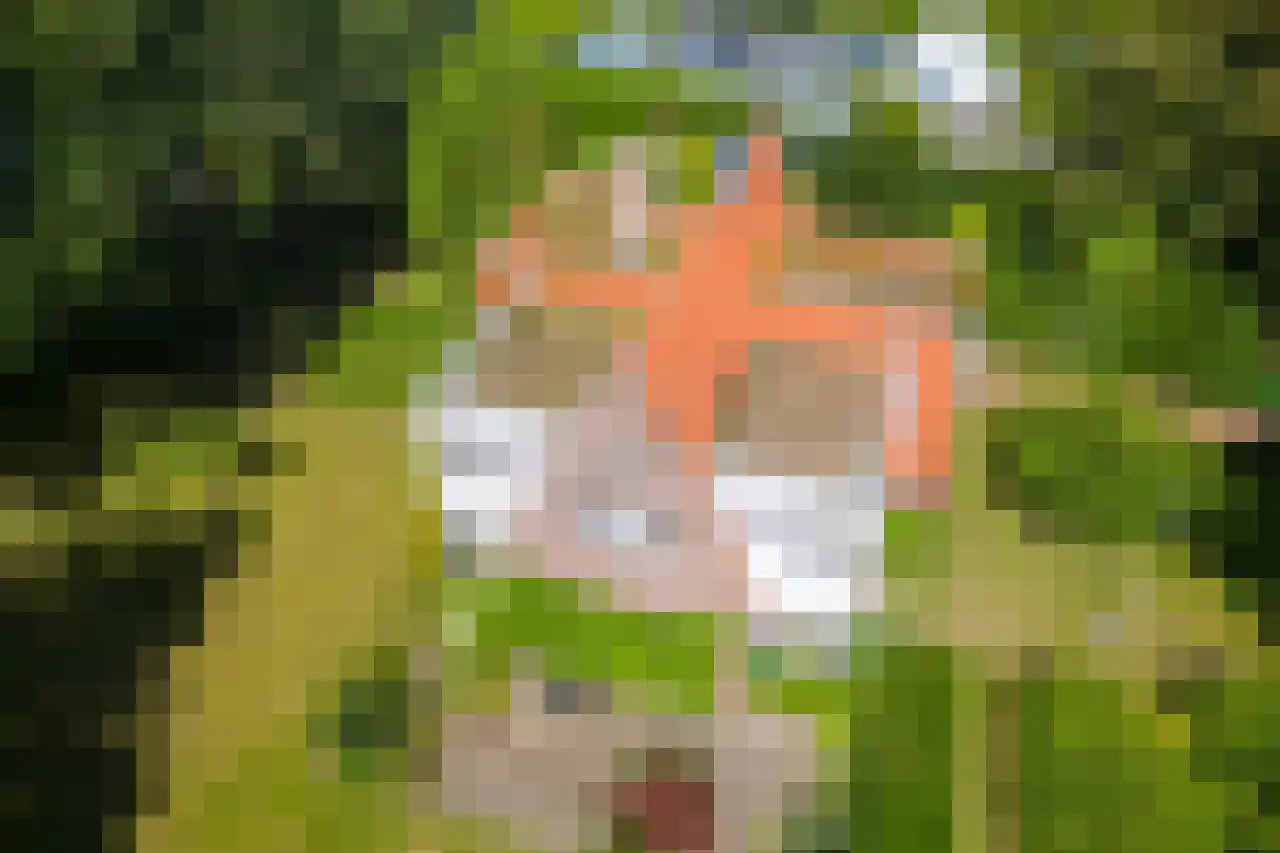Huismansweg 13 Schoorl thumbnail 78
