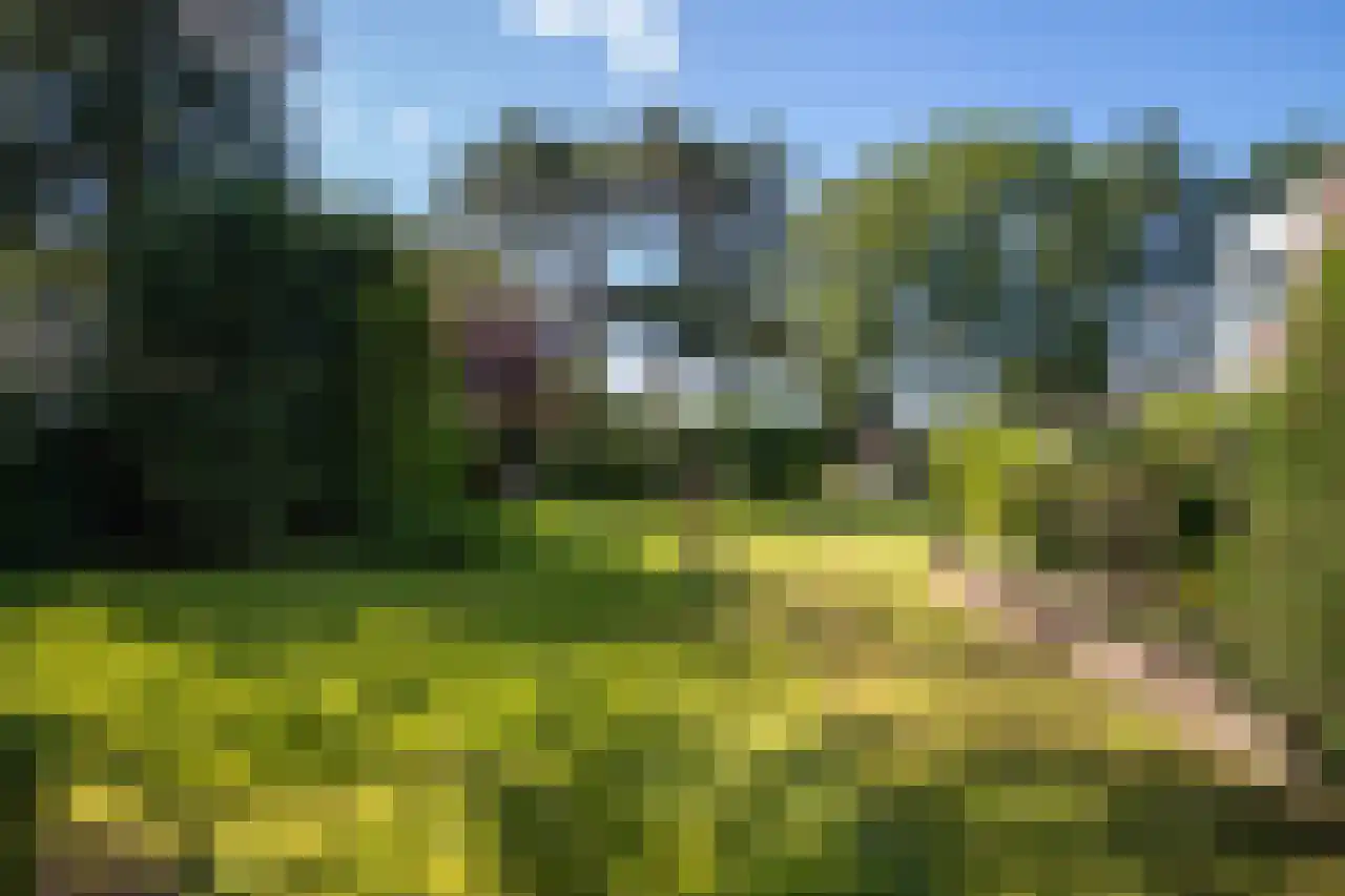 Huismansweg 13 Schoorl thumbnail 84