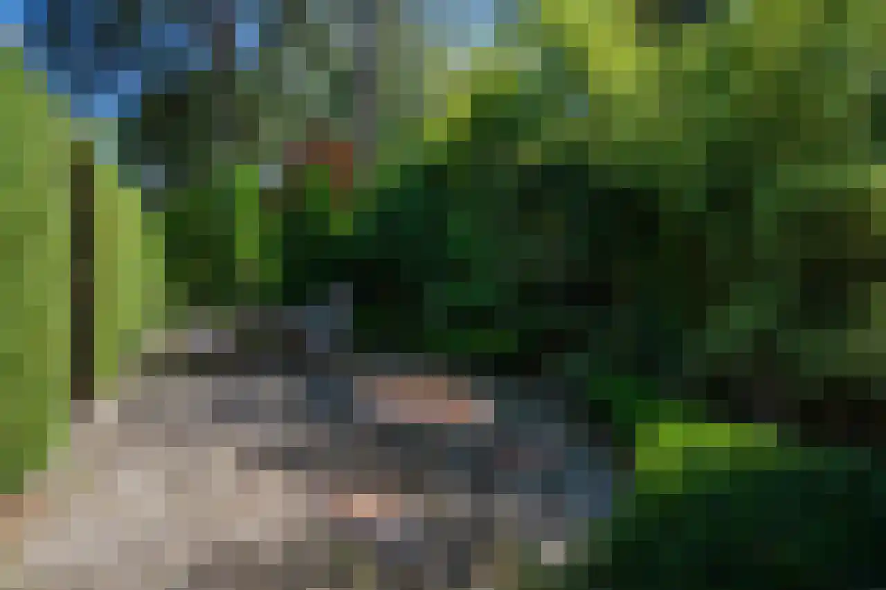 Huismansweg 13 Schoorl thumbnail 88