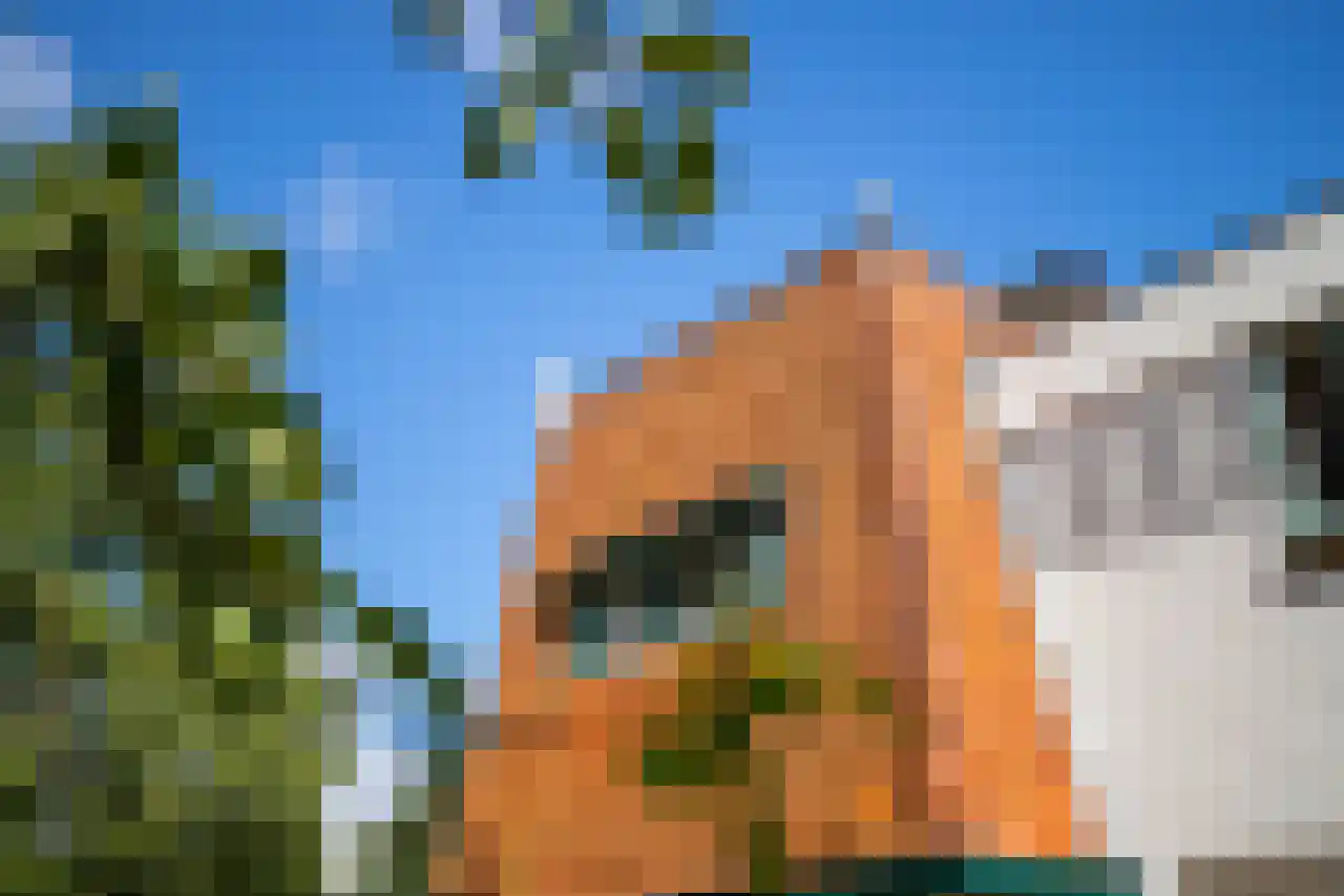 Huismansweg 13 Schoorl thumbnail 91