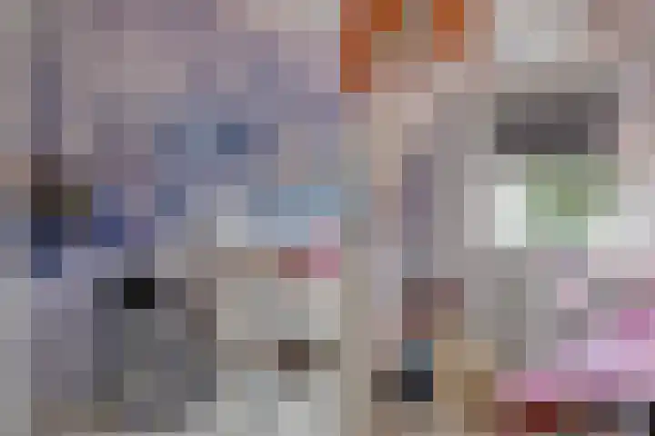 Huismeet 18 Serooskerke thumbnail 13