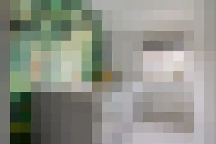 Huismeet 18 Serooskerke thumbnail 15