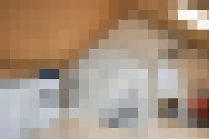 Huismeet 18 Serooskerke thumbnail 16