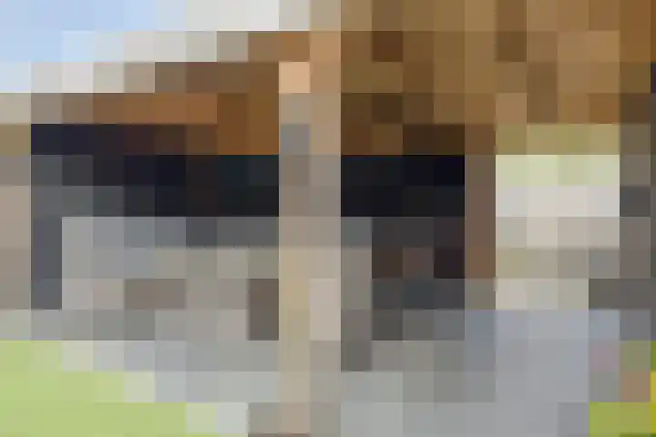 Huismeet 18 Serooskerke thumbnail 18