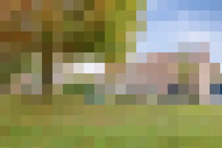 Huismeet 18 Serooskerke thumbnail 22
