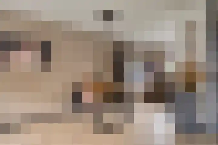 Huismeet 18 Serooskerke thumbnail 5