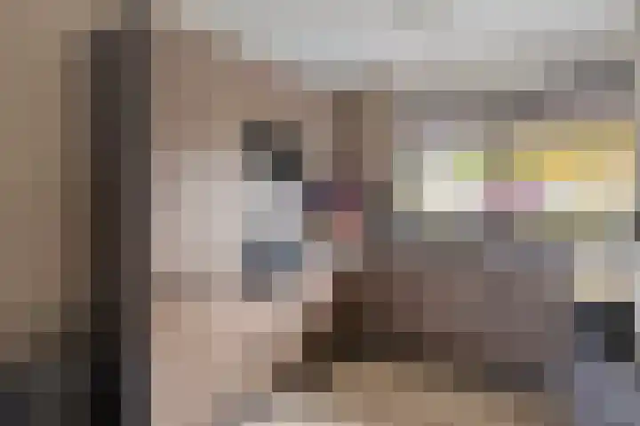 Huismeet 18 Serooskerke thumbnail 6