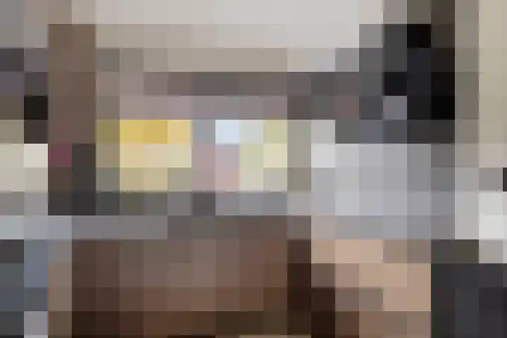 Huismeet 18 Serooskerke thumbnail 7