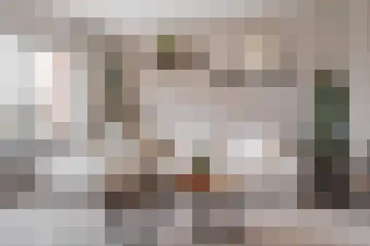Huismus 25 Emmen thumbnail 12