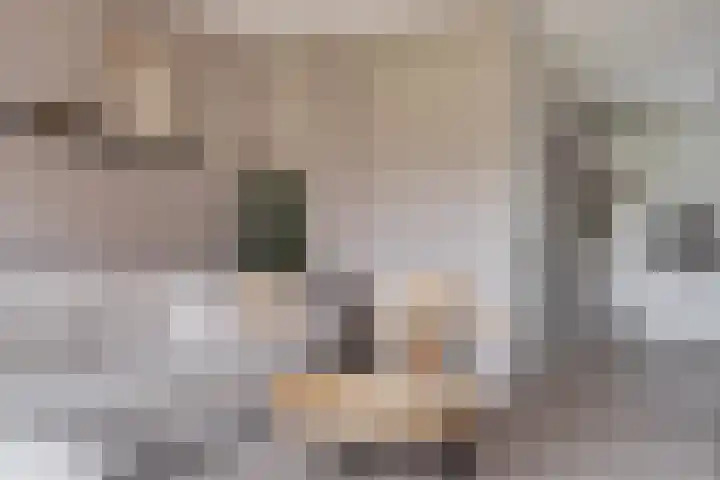 Huismus 25 Emmen thumbnail 15