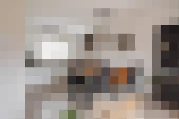 Huismus 25 Emmen thumbnail 18