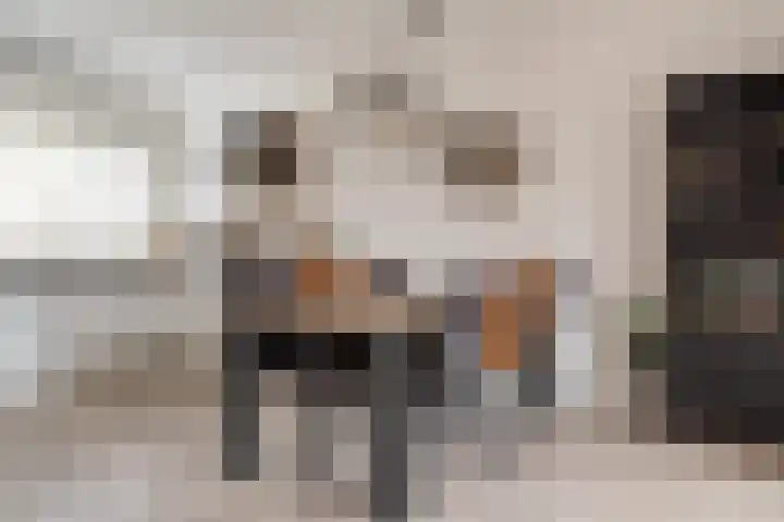Huismus 25 Emmen thumbnail 19