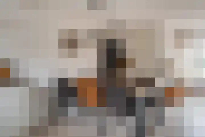 Huismus 25 Emmen thumbnail 20