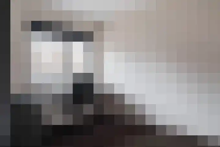 Huismus 25 Emmen thumbnail 32