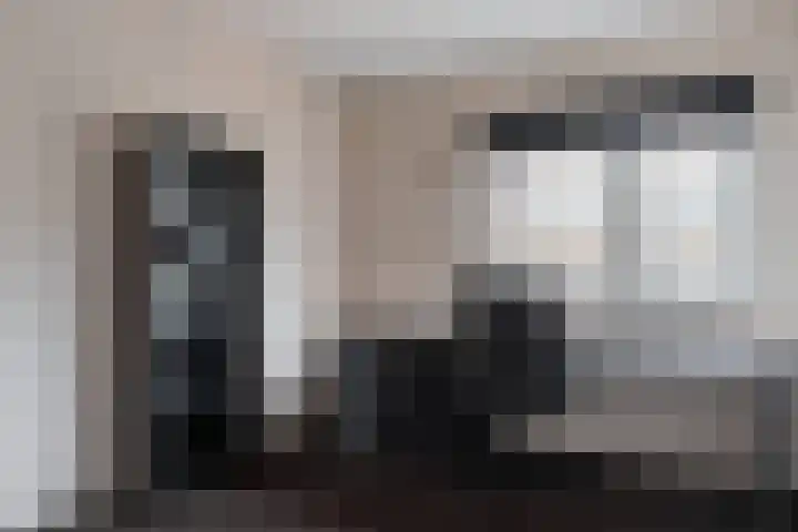 Huismus 25 Emmen thumbnail 33