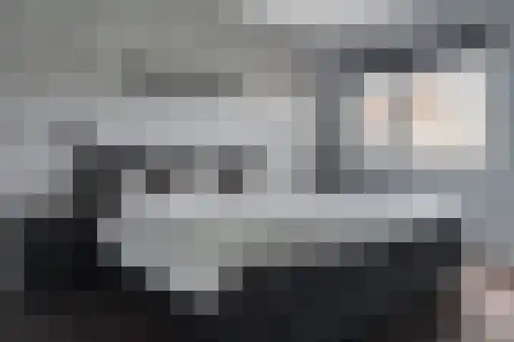 Huismus 25 Emmen thumbnail 35
