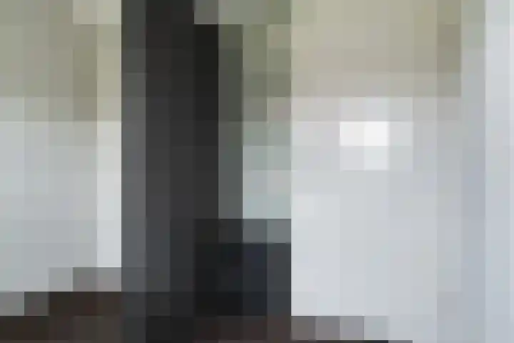 Huismus 25 Emmen thumbnail 39