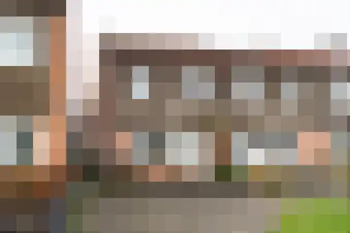 Huismus 25 Emmen thumbnail 4