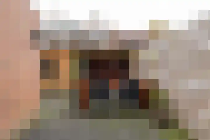 Huismus 25 Emmen thumbnail 40