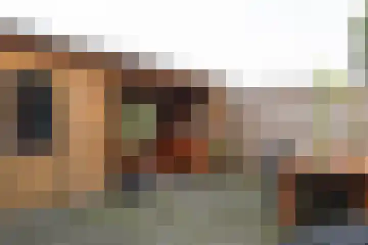 Huismus 25 Emmen thumbnail 42