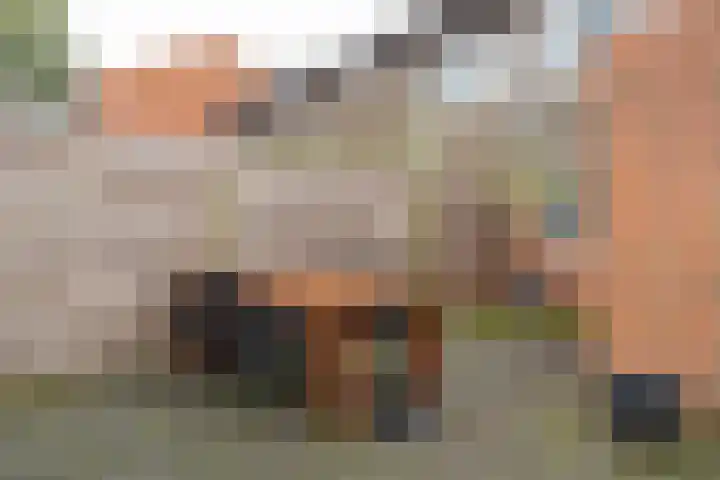 Huismus 25 Emmen thumbnail 44