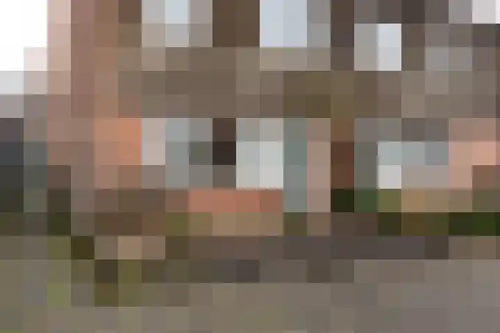 Huismus 25 Emmen thumbnail 5