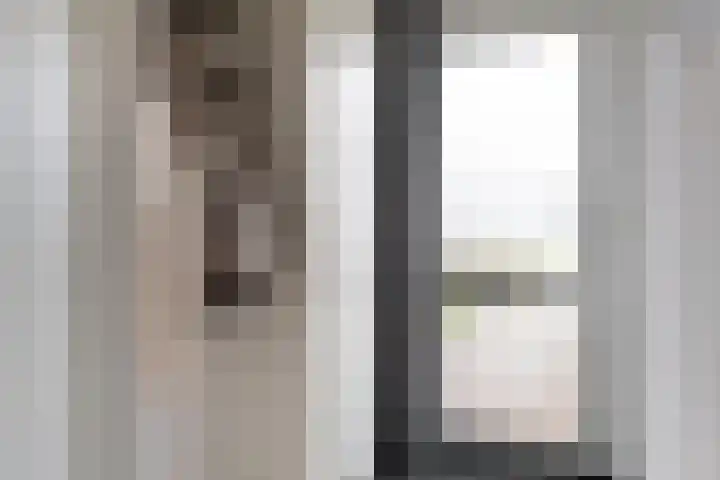 Huismus 25 Emmen thumbnail 8