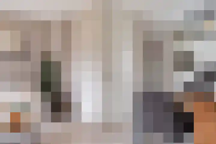 Huismus 25 Emmen thumbnail 9