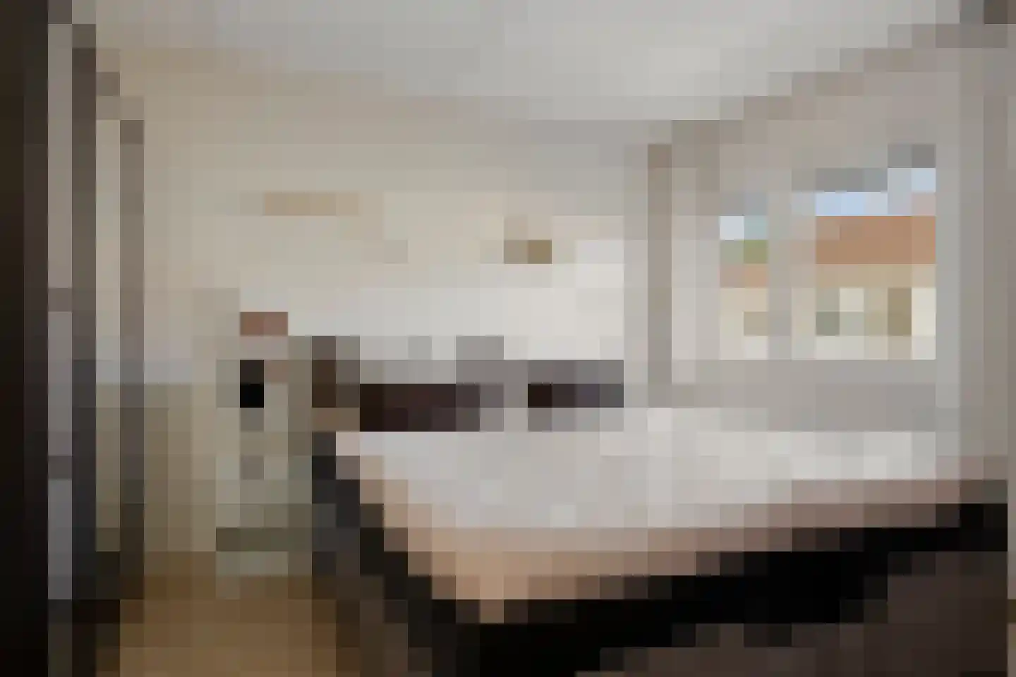Huismus 30 Emmen thumbnail 21