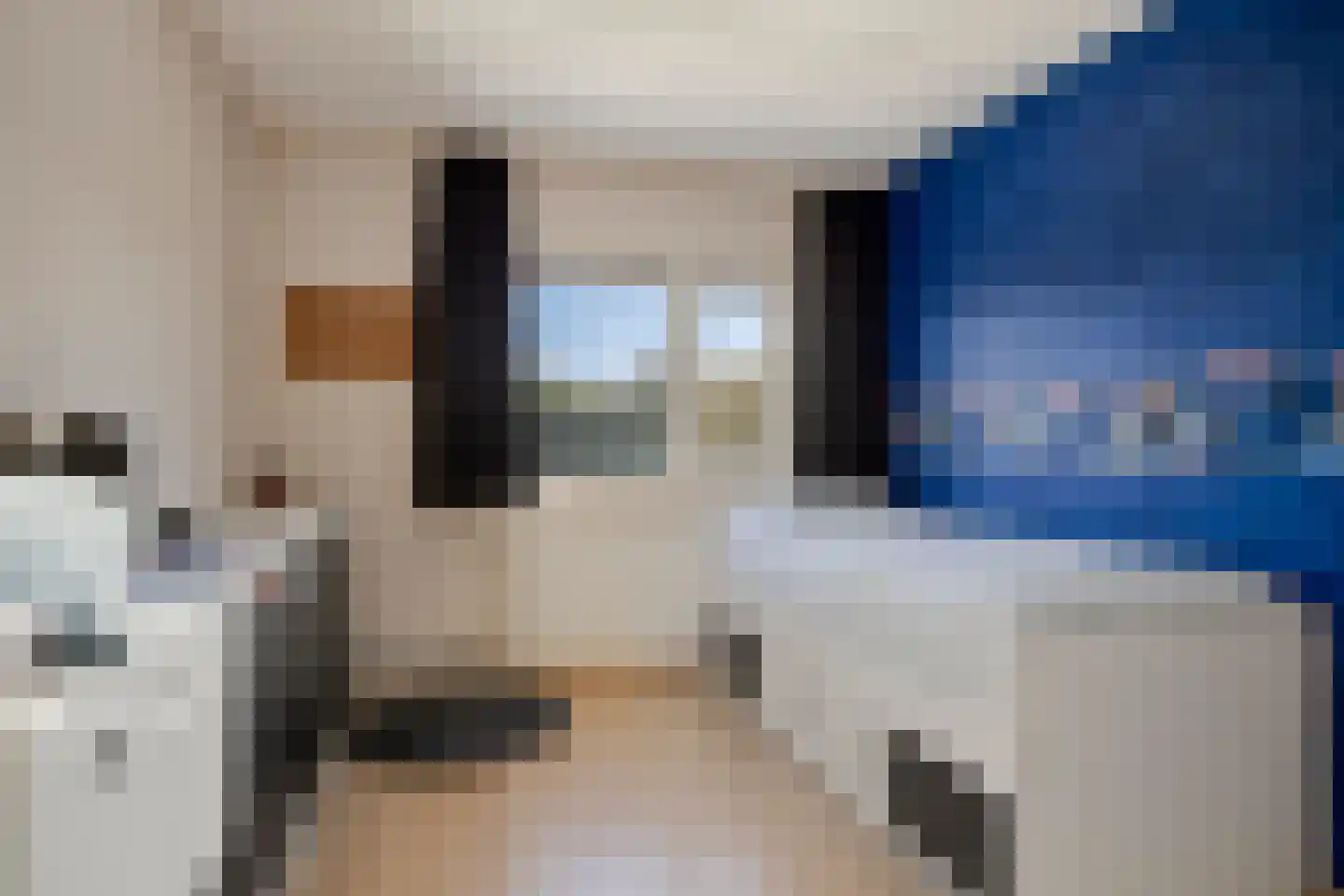 Huismus 30 Emmen thumbnail 25