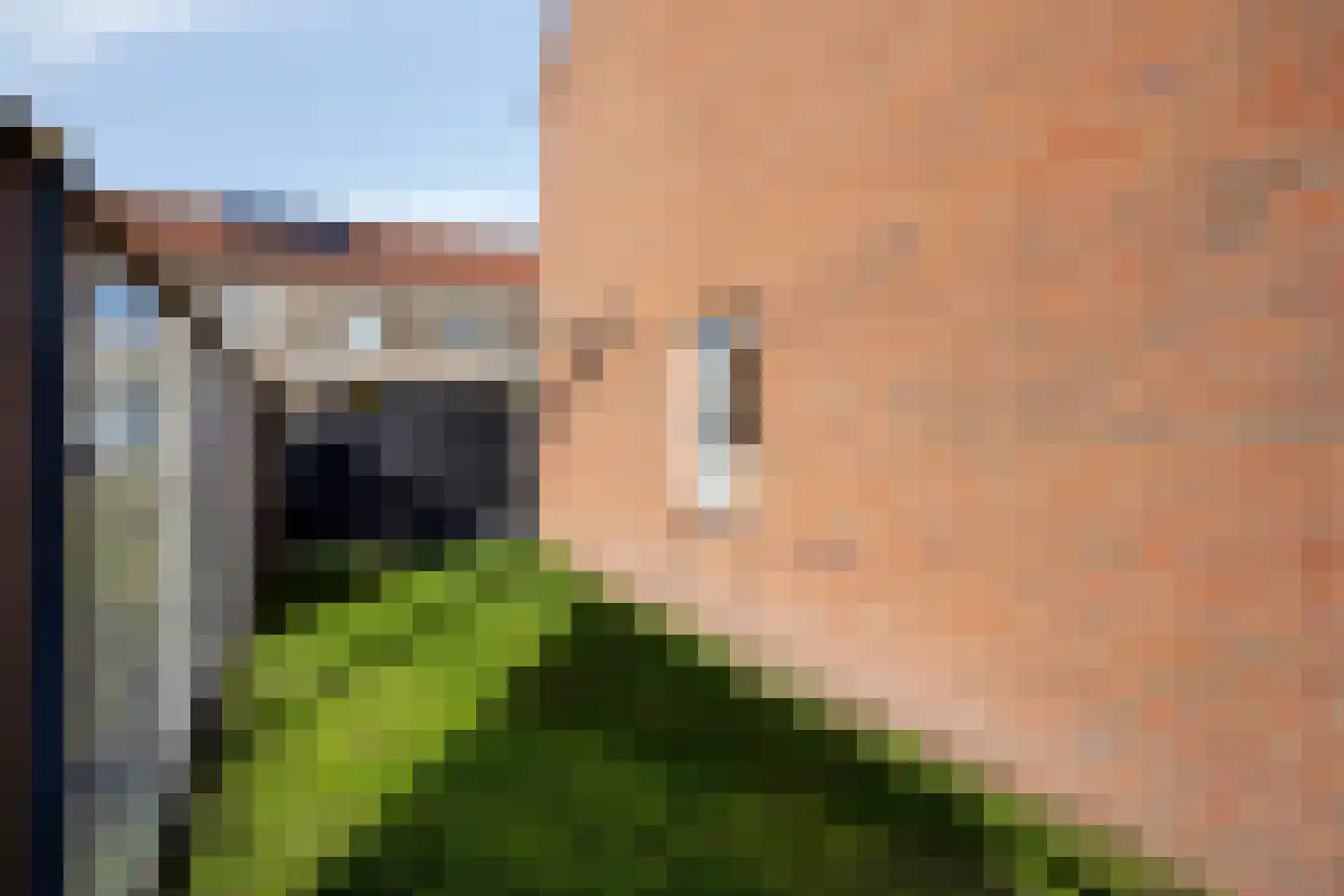 Huismus 30 Emmen thumbnail 35