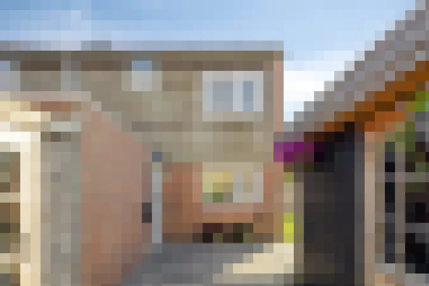 Huismus 30 Emmen thumbnail 36