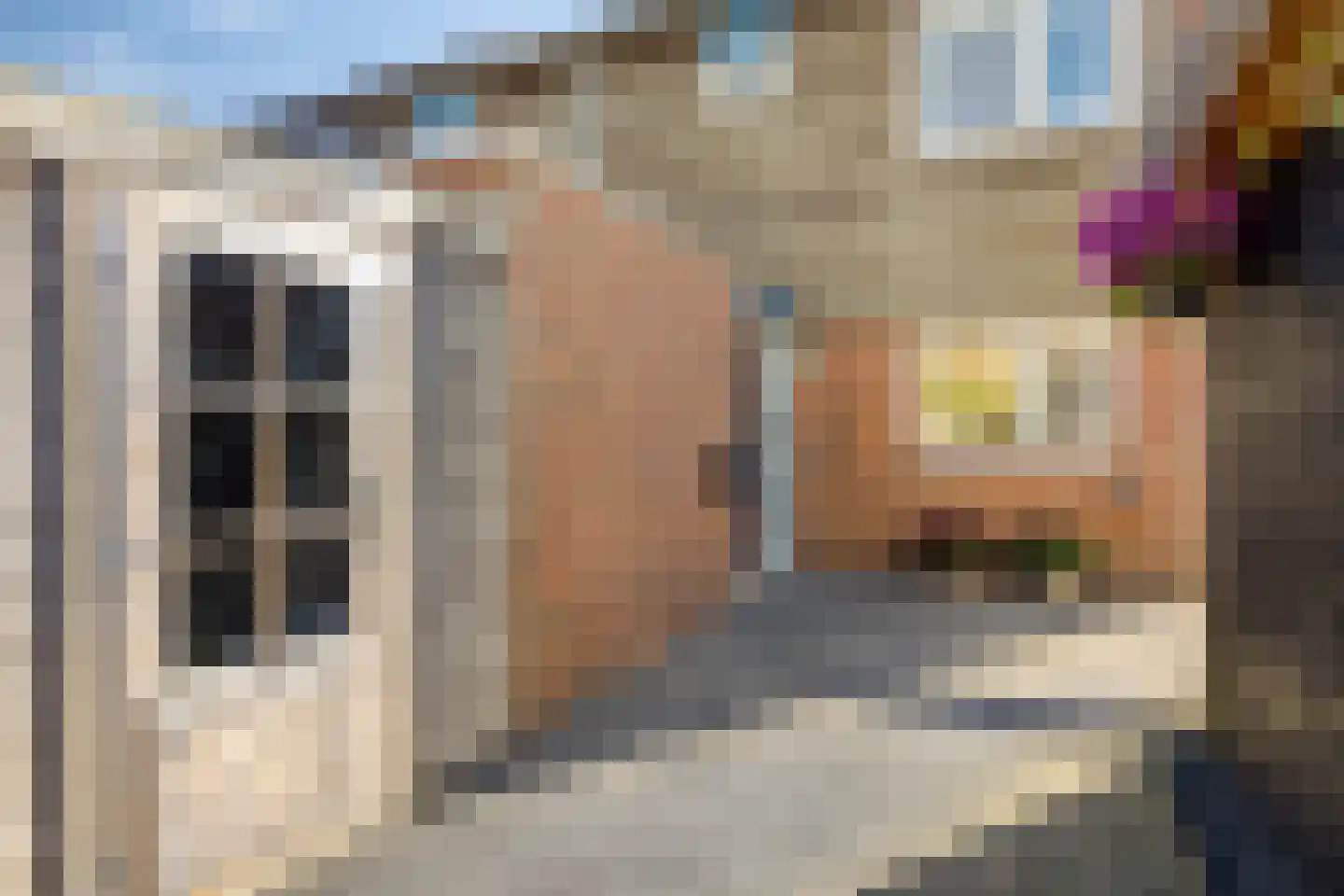 Huismus 30 Emmen thumbnail 37
