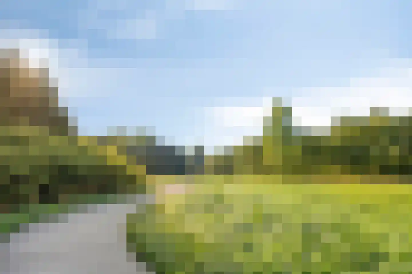 Huismus 30 Emmen thumbnail 4