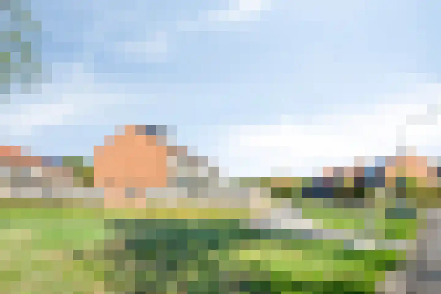 Huismus 30 Emmen thumbnail 41
