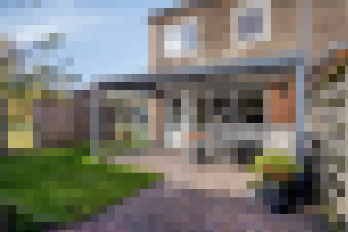 Huismus 30 Emmen thumbnail 5