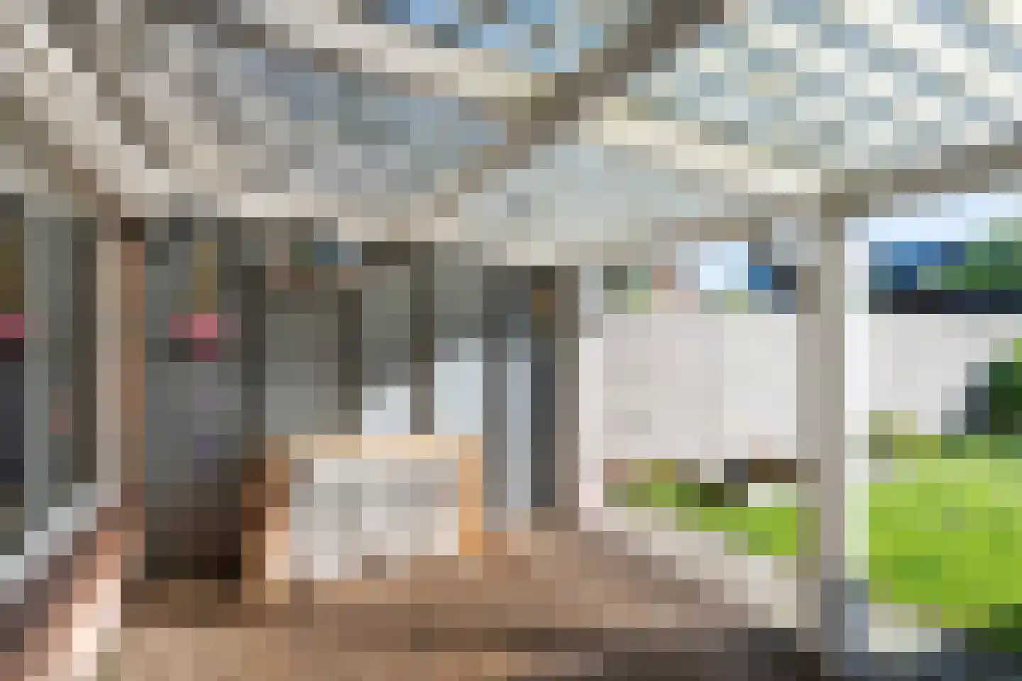 Huismus 36 Emmen thumbnail 23