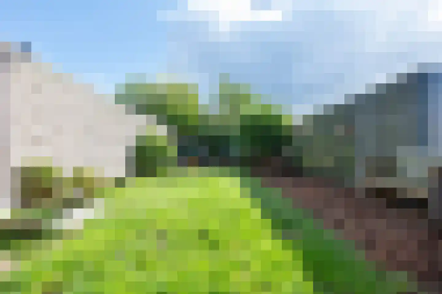 Huismus 36 Emmen thumbnail 25