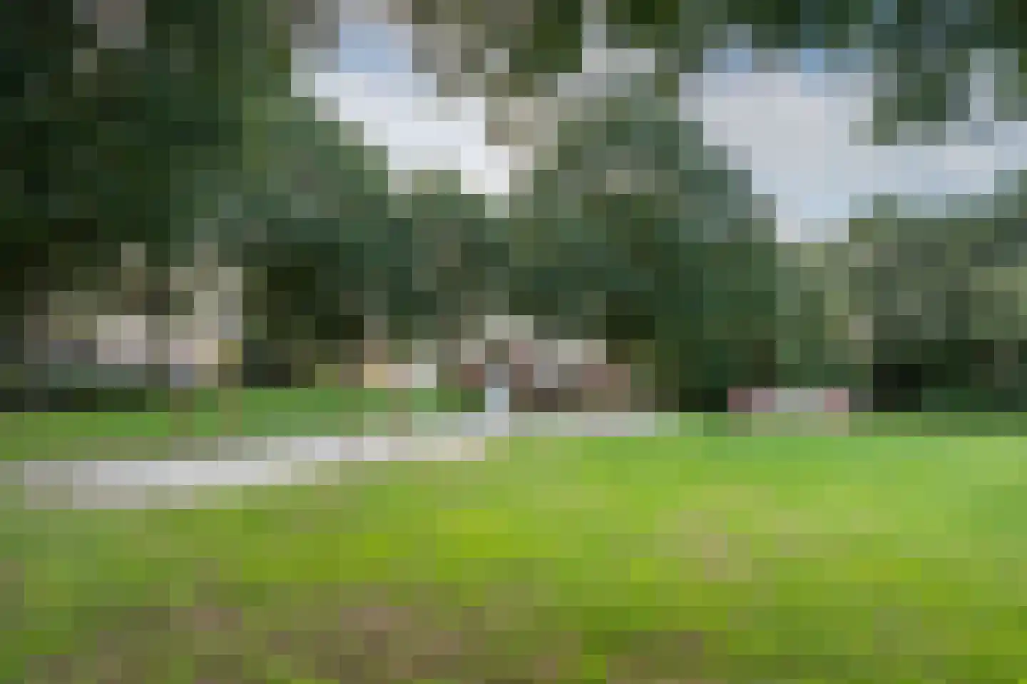Huismus 36 Emmen thumbnail 33