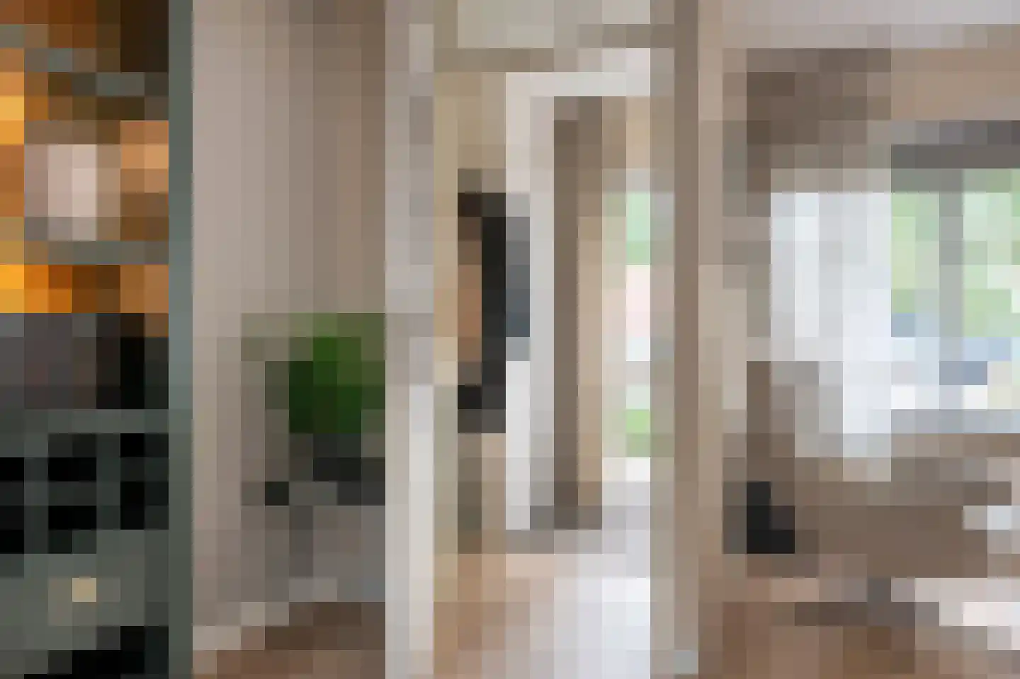 Huismus 5 Emmen thumbnail 10