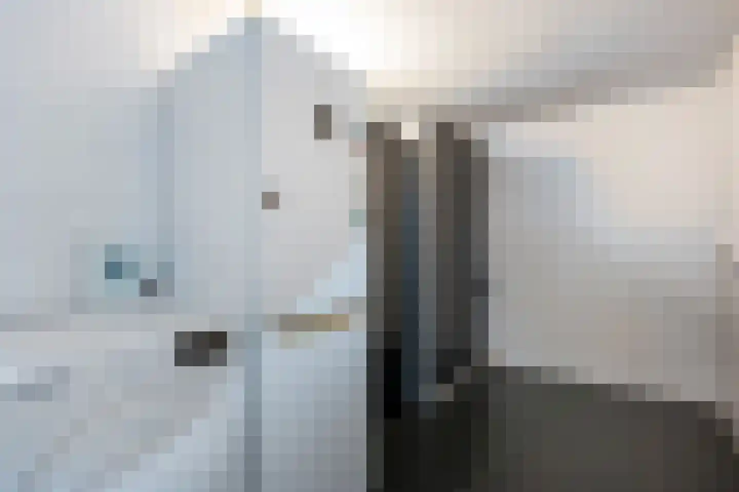 Huismus 5 Emmen thumbnail 11