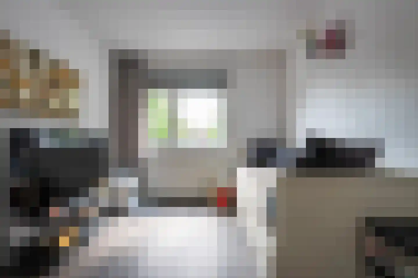 Huismus 5 Emmen thumbnail 17