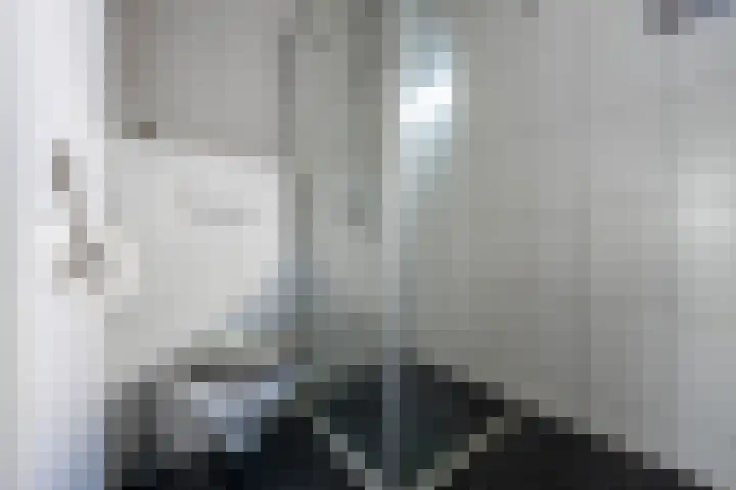 Huismus 5 Emmen thumbnail 19