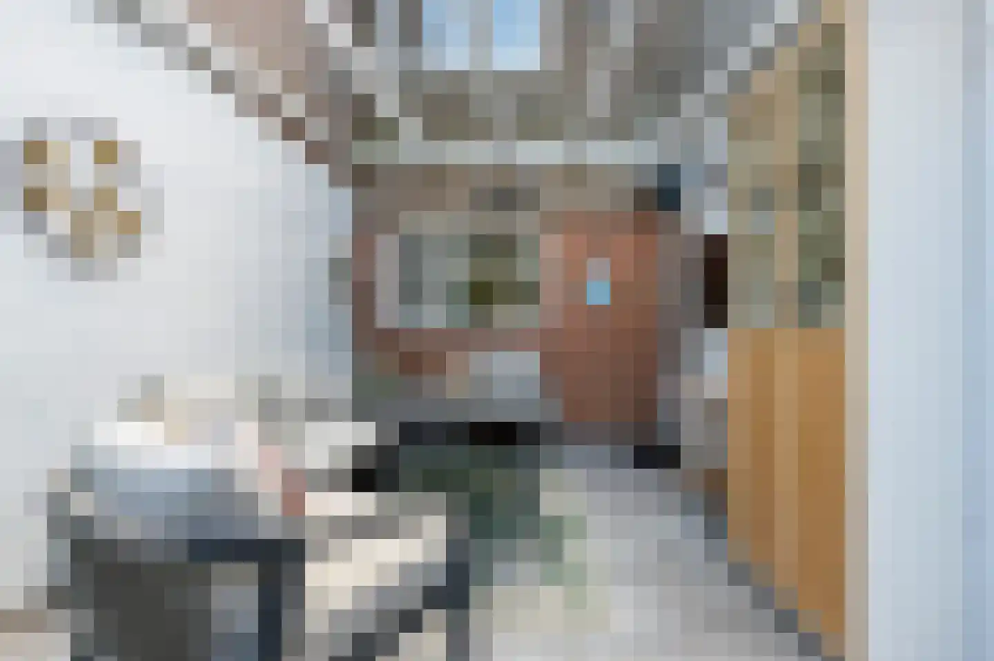 Huismus 5 Emmen thumbnail 22