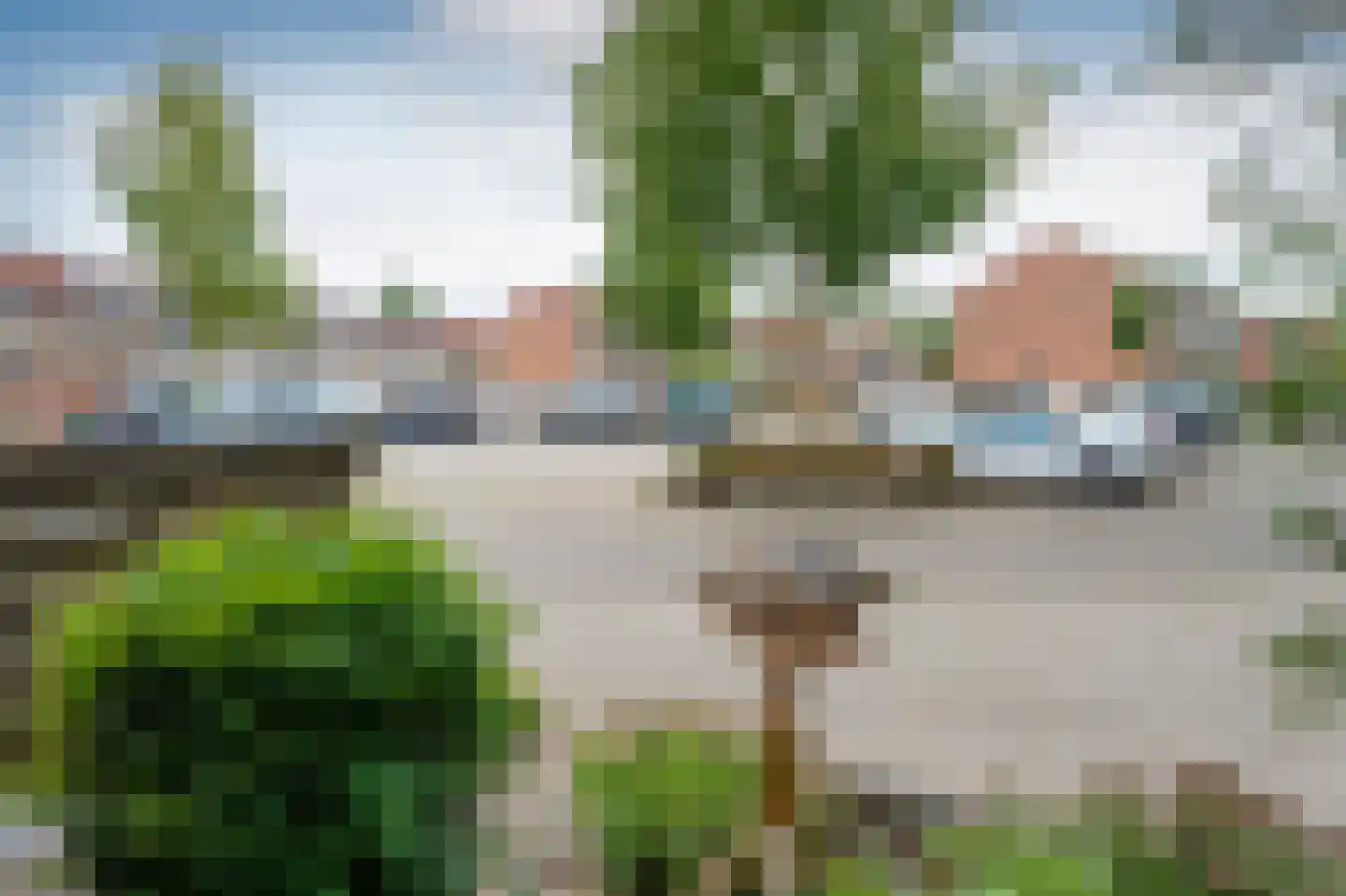 Huismus 5 Emmen thumbnail 28