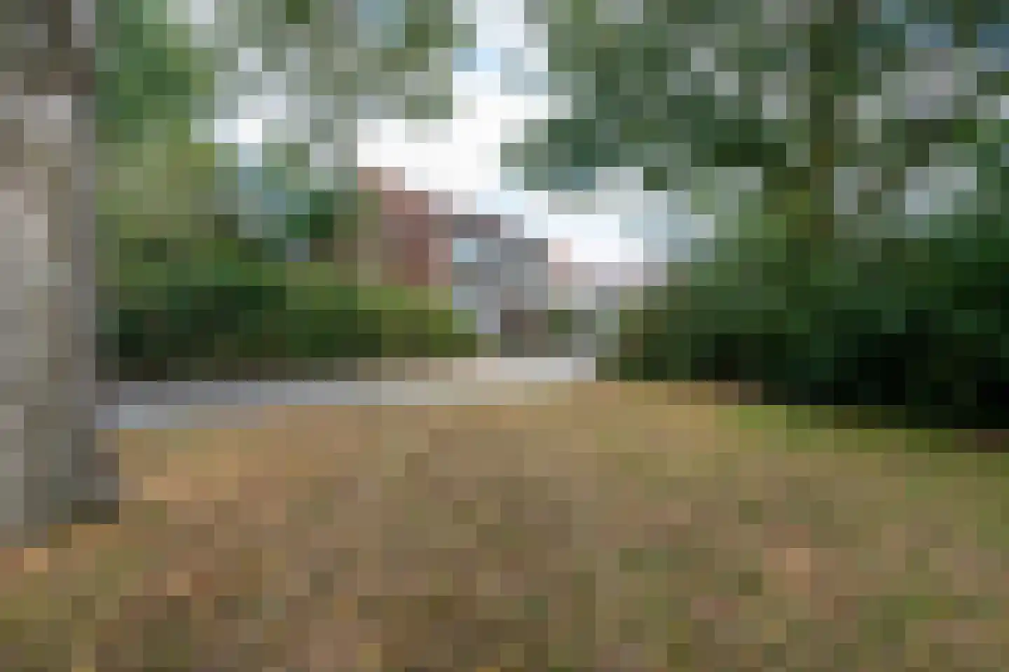 Huismus 5 Emmen thumbnail 29