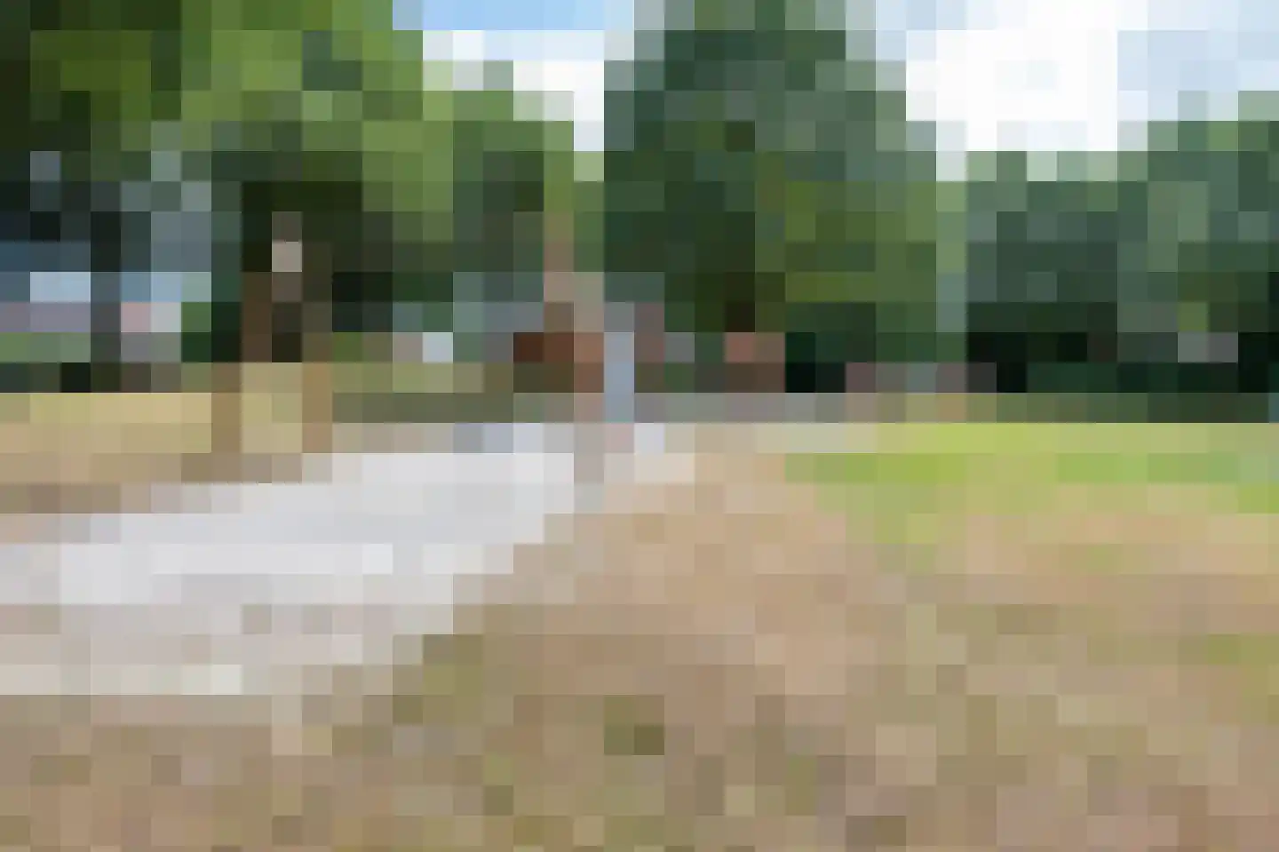 Huismus 5 Emmen thumbnail 30