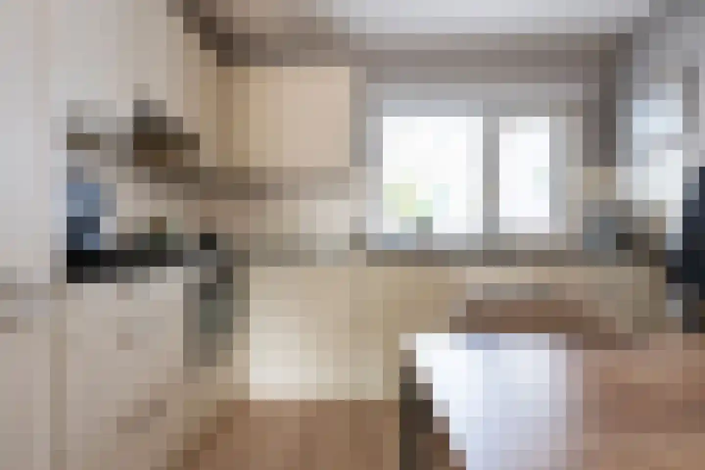 Huismus 5 Emmen thumbnail 4